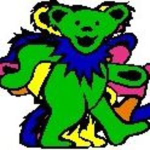 Meet your Posher, Gavin